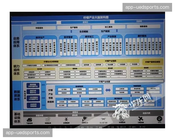 技术联盟统一分发底层架构 降低产业链上下游适配成本